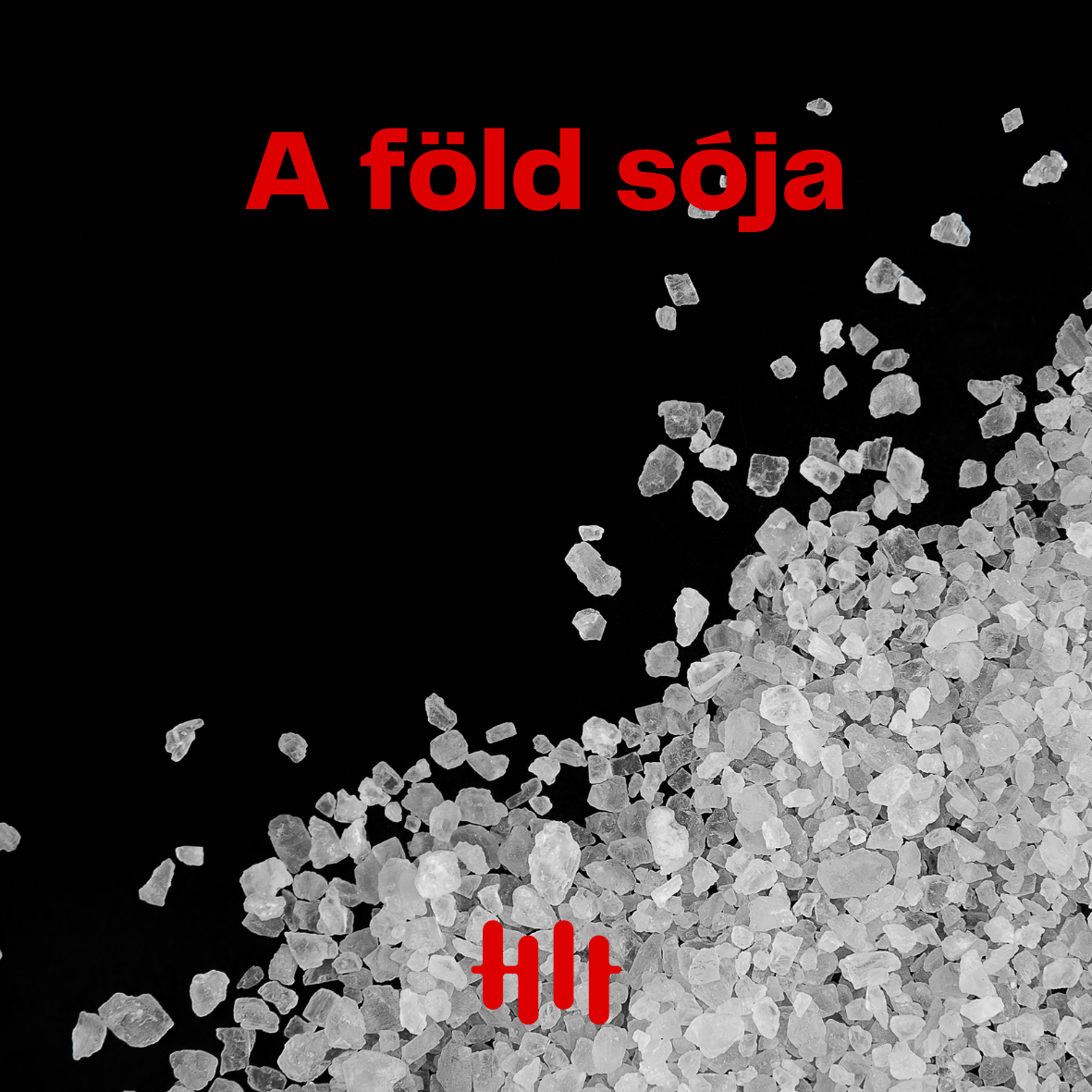 A föld sója borítókép