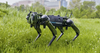Robotkutyákat vet be Izrael a gázai hadműveletekben