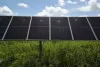 Florida: több mint 700 ezer dolláros kárt okozott egy Izrael-ellenes tüntető