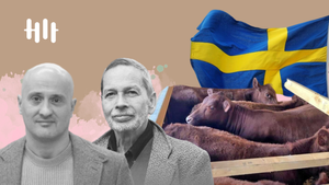 Rajzfilm az Antikrisztusról, ősi  kultuszok tanulságai napjainkban