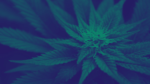 Pogátsa Zoltán a magyar válságkezelésről, Bauer Bence a németek javaslatáról