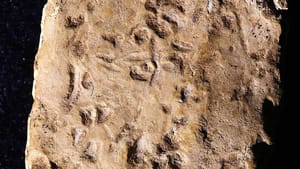 Régészeti lelet igazolja: Tényleg mondtak átkot az Ebál-hegyen