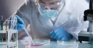 Őssejtekből hoztak létre szintetikus embriót a tudósok