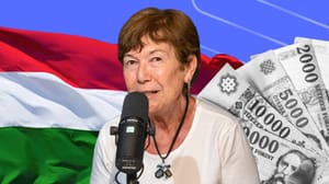 Bajban a vezetés: megszűnt az összhang a jegybank és a kormány között ?- Csath Magdolna