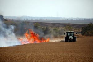 Mezőgazdasági szakértők figyelmeztetnek: veszélyben Izrael élelmiszer-ellátása