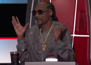 Még Snoop Dogg-ot is megérintette a The Voice színpadán elhangzott dicséret