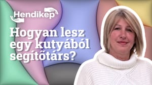 A kulcs a következetesség - Gazsó Krisztina