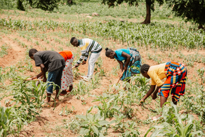Nigéria: keresztények is életüket vesztették a legutóbbi támadások során