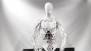 Szintetikus szervekkel és izmokkal "utánozza" az emberi testet a legújabb humanoid robot