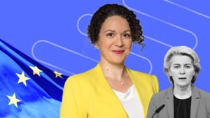 Bajban az Európai Bizottság? - Máthé Réka Zsuzsanna