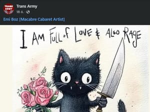 Döbbenet: erőszakos lázadásra buzdít Facebookon a "transz-hadsereg"