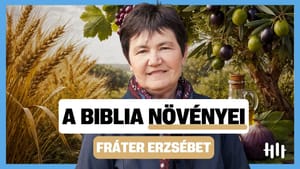 A bibliai növények szimbolikája: búza 🌾, szőlő 🍇 és olajfa 🫒 jelentése – Fráter Erzsébet